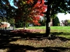 P1010270.JPG